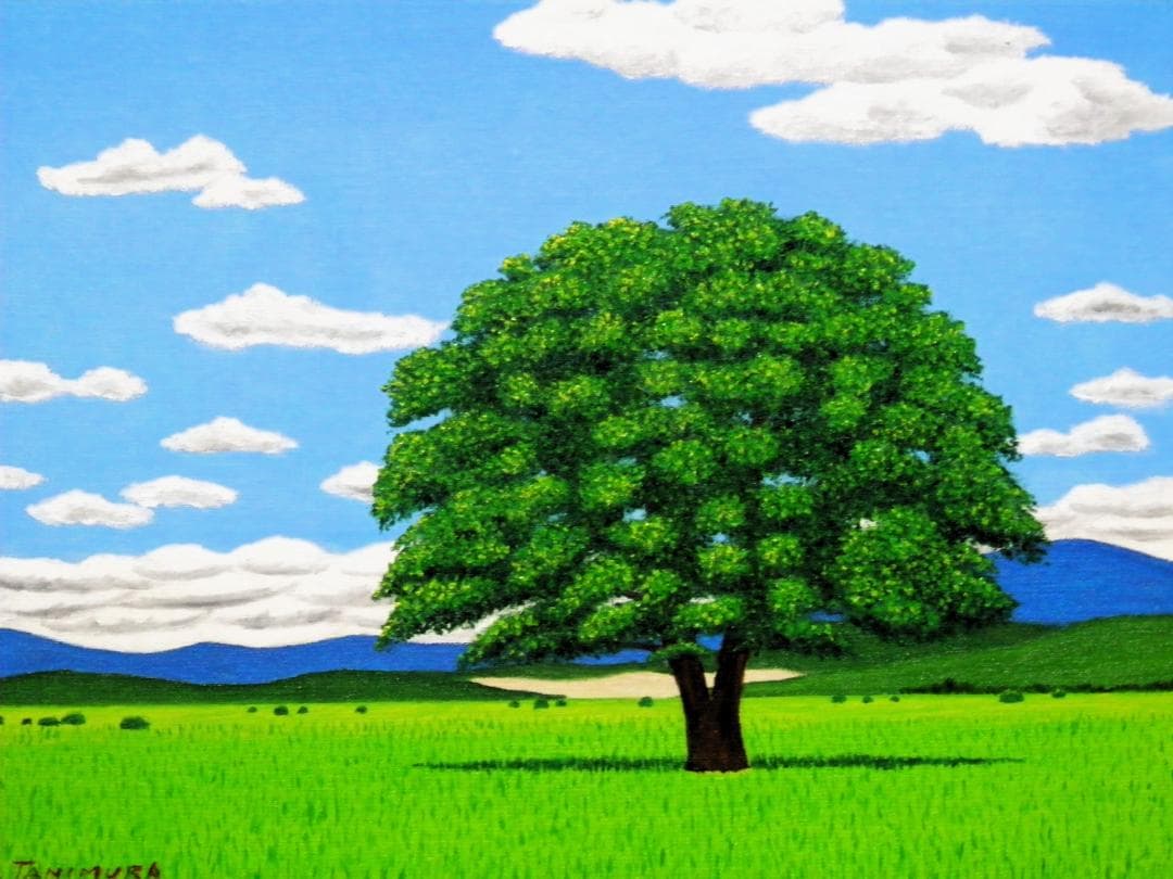 ★北海道・豊頃町ハルニレノ大木・肉筆油彩画・F6