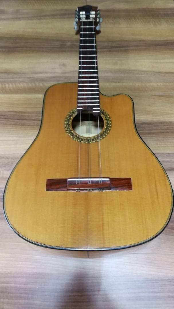 Agustin Enriquez キューバン　トレスギター