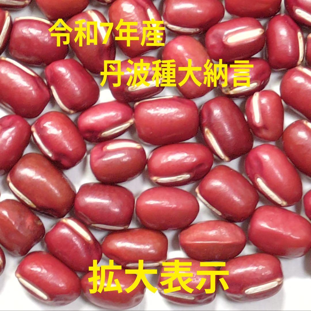 専用 大納言250g×16袋