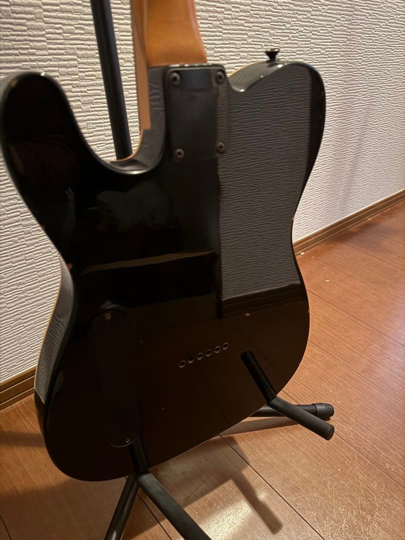 ギター FERNANDES TEJ