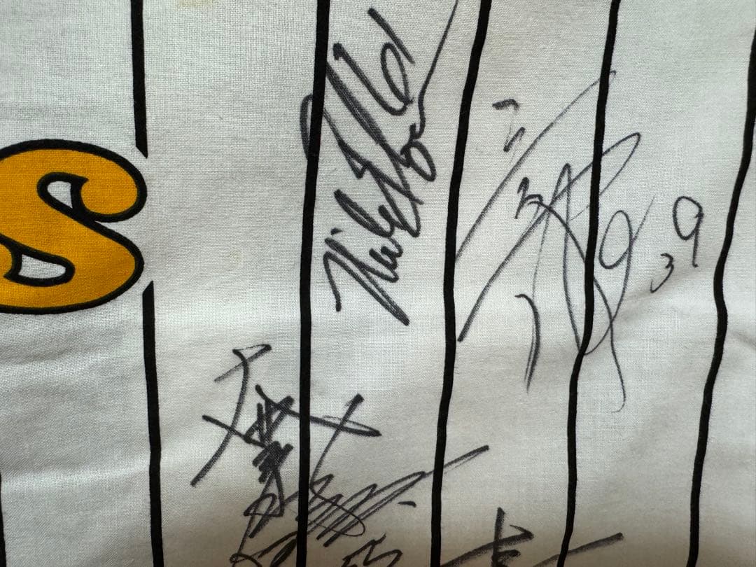 阪神タイガース 法被 【直筆サイン多数】