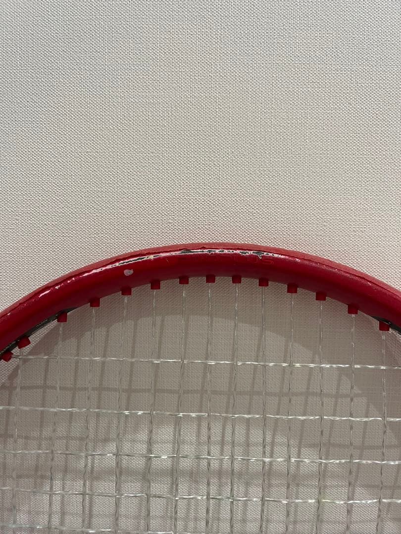 プリンス ビースト100 27インチ