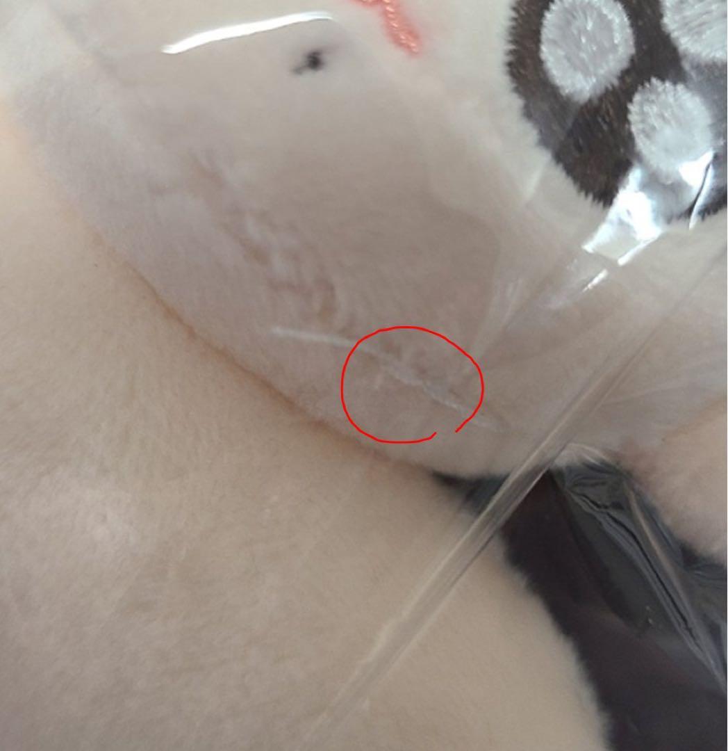 BTS ジョングク 10cm 7cm ジョングク犬ぬい フォトカードケース