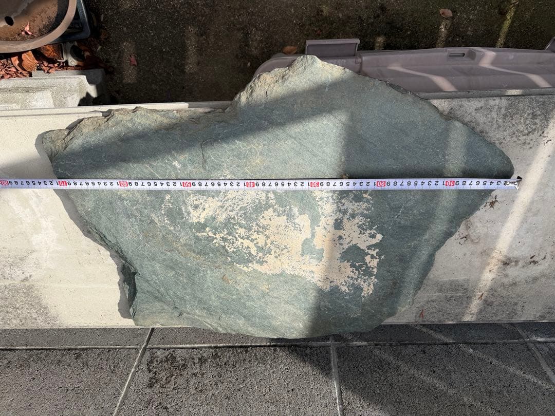 伊予石　青石　四国　平石　大型　鑑賞石　自然石　付け石　鞍馬　龍眼　竜岩　盆栽