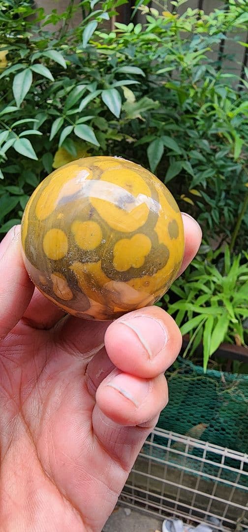 オーシャンジャスパー