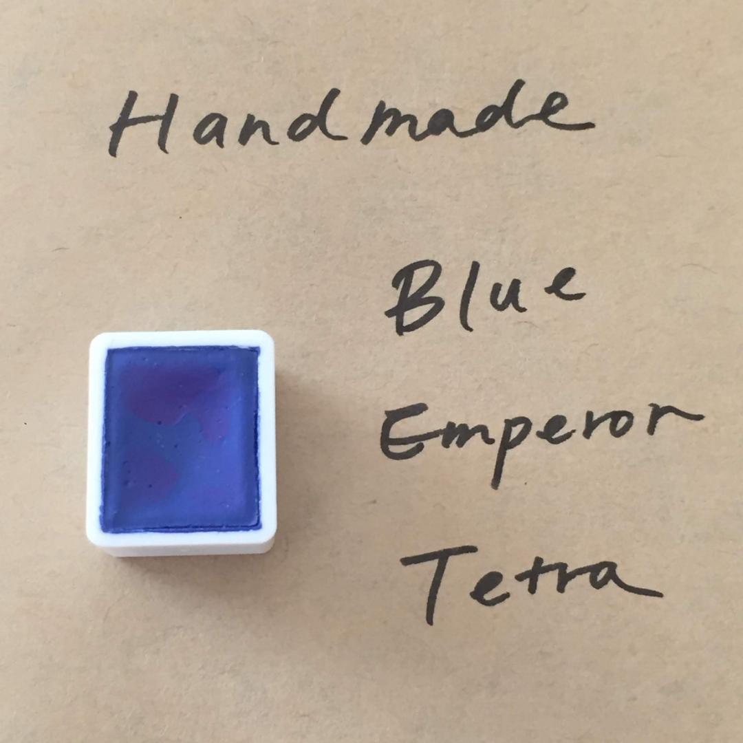 自家製絵の具Blue Emperor Tetra  ハーフパン
