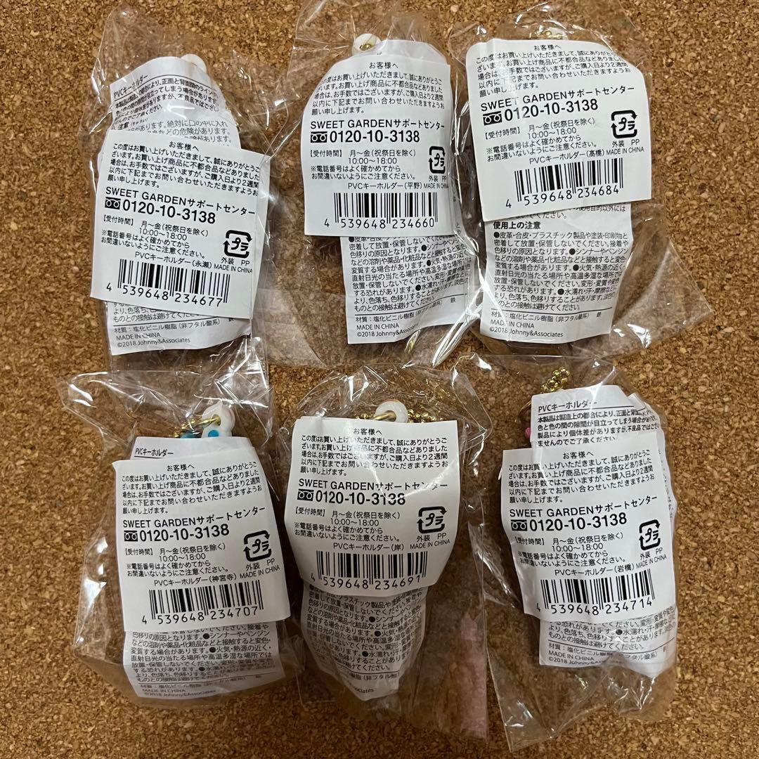 新品★キンプリ PVC キーホルダー 6個☆スイートガーデン 平野紫耀 永瀬廉