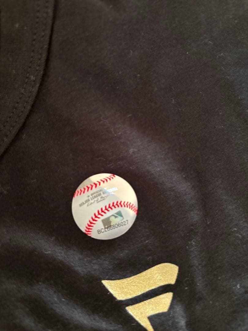 ドジャース　2025ワールドシリーズチャンピオン レディースTシャツ Mサイズ