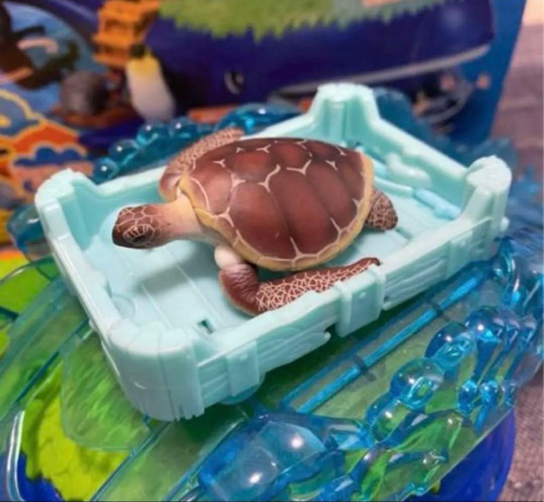 【クジラアイランド】【アニア】【廃盤品】【まとめ売り】追加あり