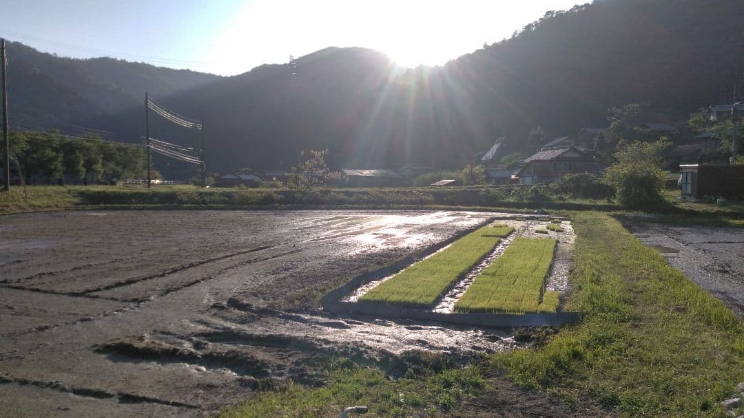 ひよこ出品　【米粉 6.3kg = 900g✕7個】