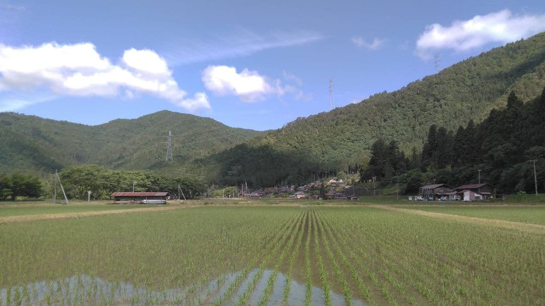 ひよこ出品　【米粉 6.3kg = 900g✕7個】