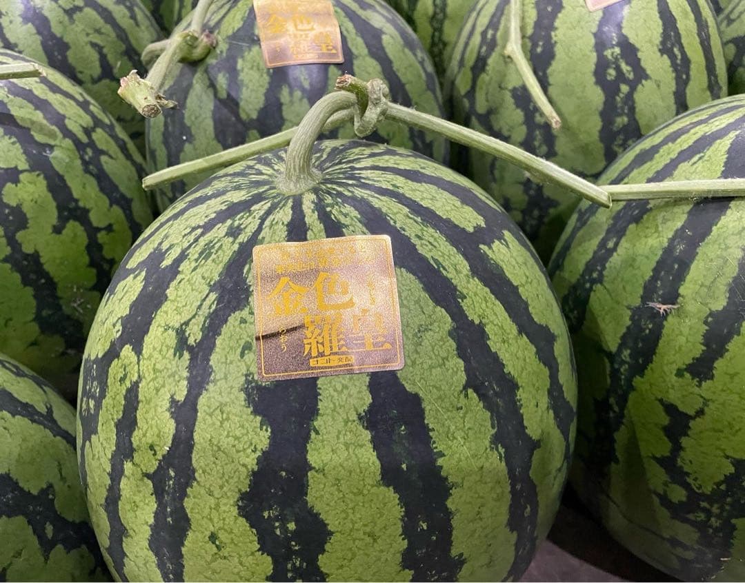 劇的に美味い！熊本産【金色羅皇】秀品3L2玉セット（17〜19k箱込）かめまる堂