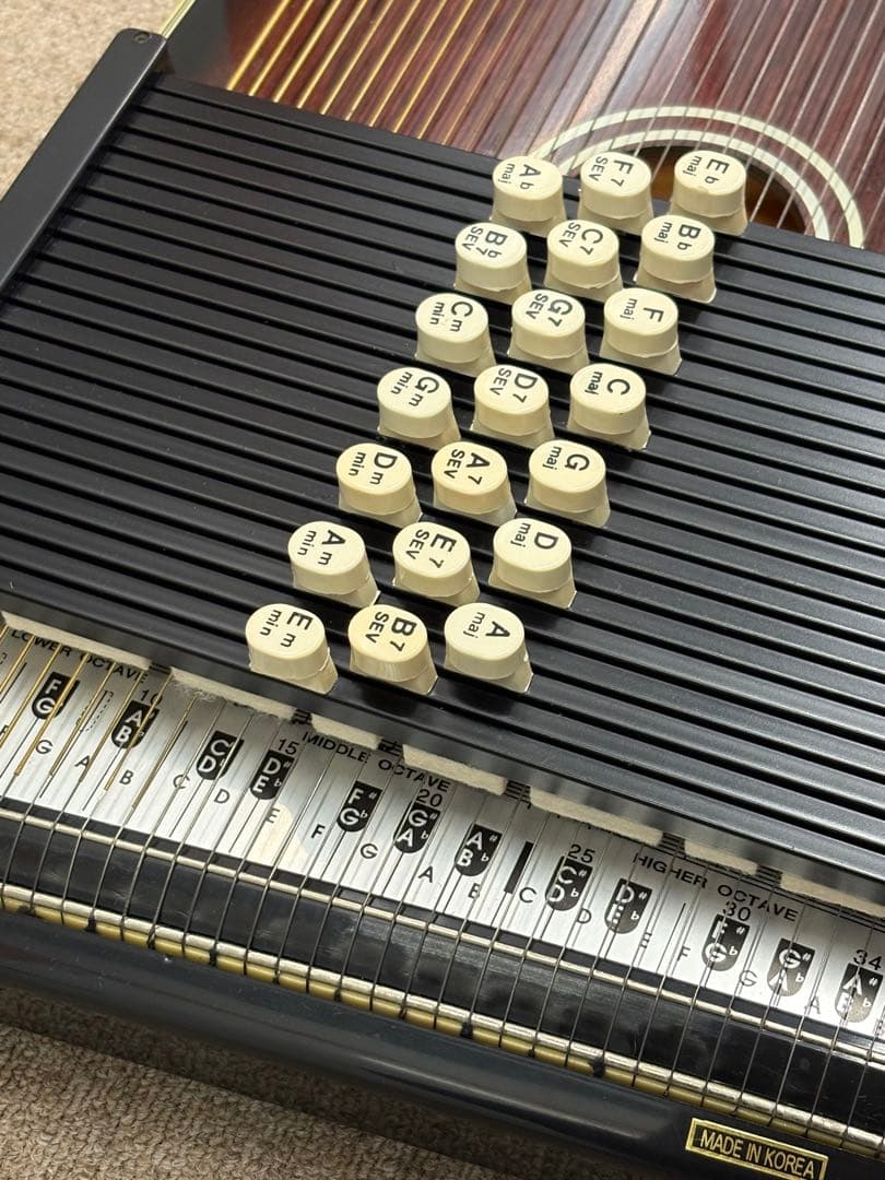 【極美品】ARIA Aria AH-21 コードハープ本体 純正品 ハードケース