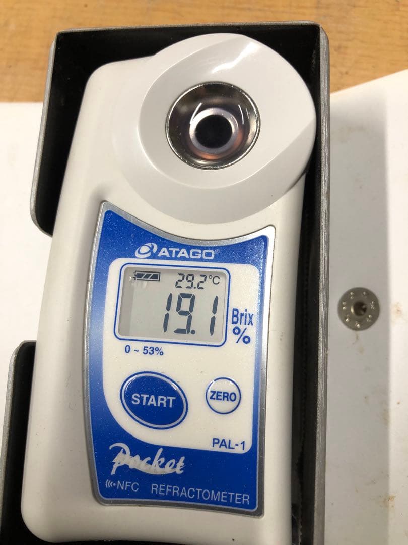 #3 富士の輝き　サンシャインレッド　マイハート　シャインマスカット 他3kg