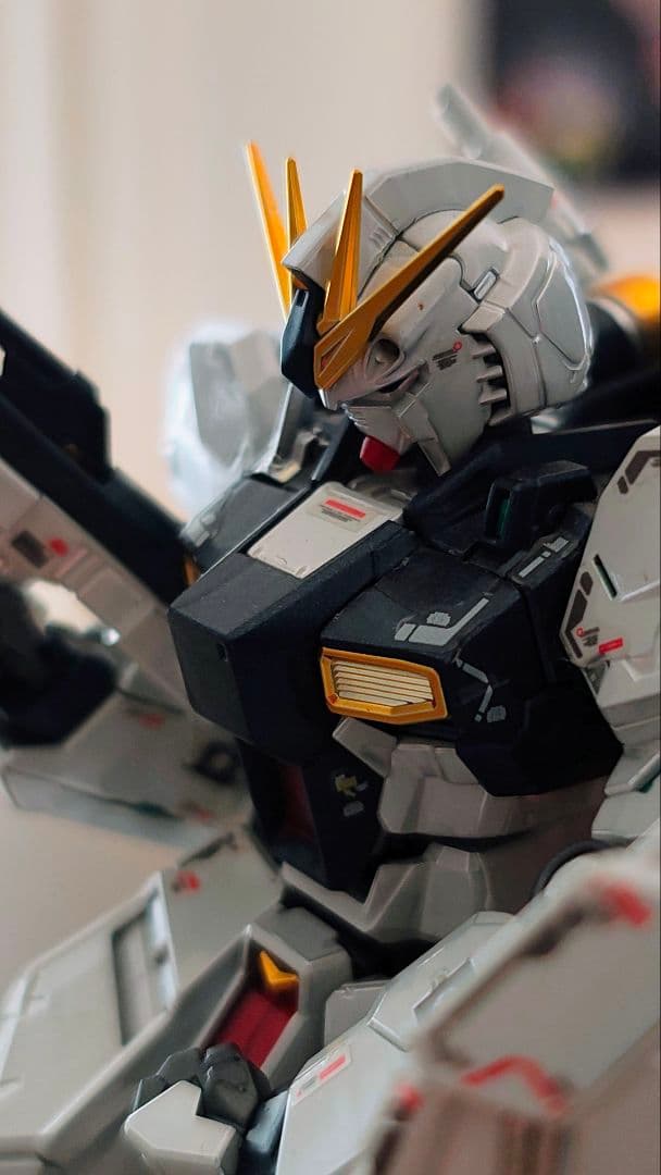 RG ガンプラ 2体セット