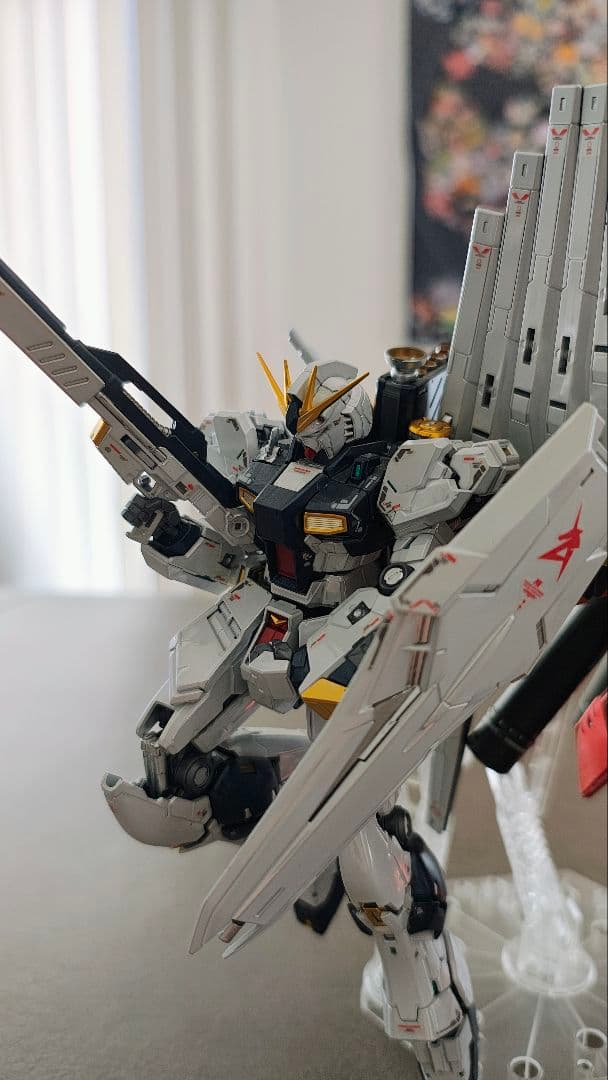 RG ガンプラ 2体セット