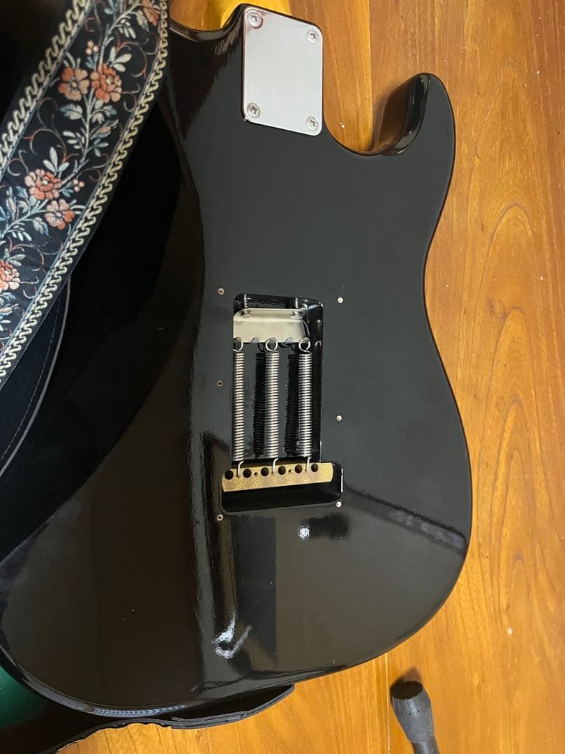 Edwards E-SE-100Mレフティ　【セミハードケース、付属品多数！】