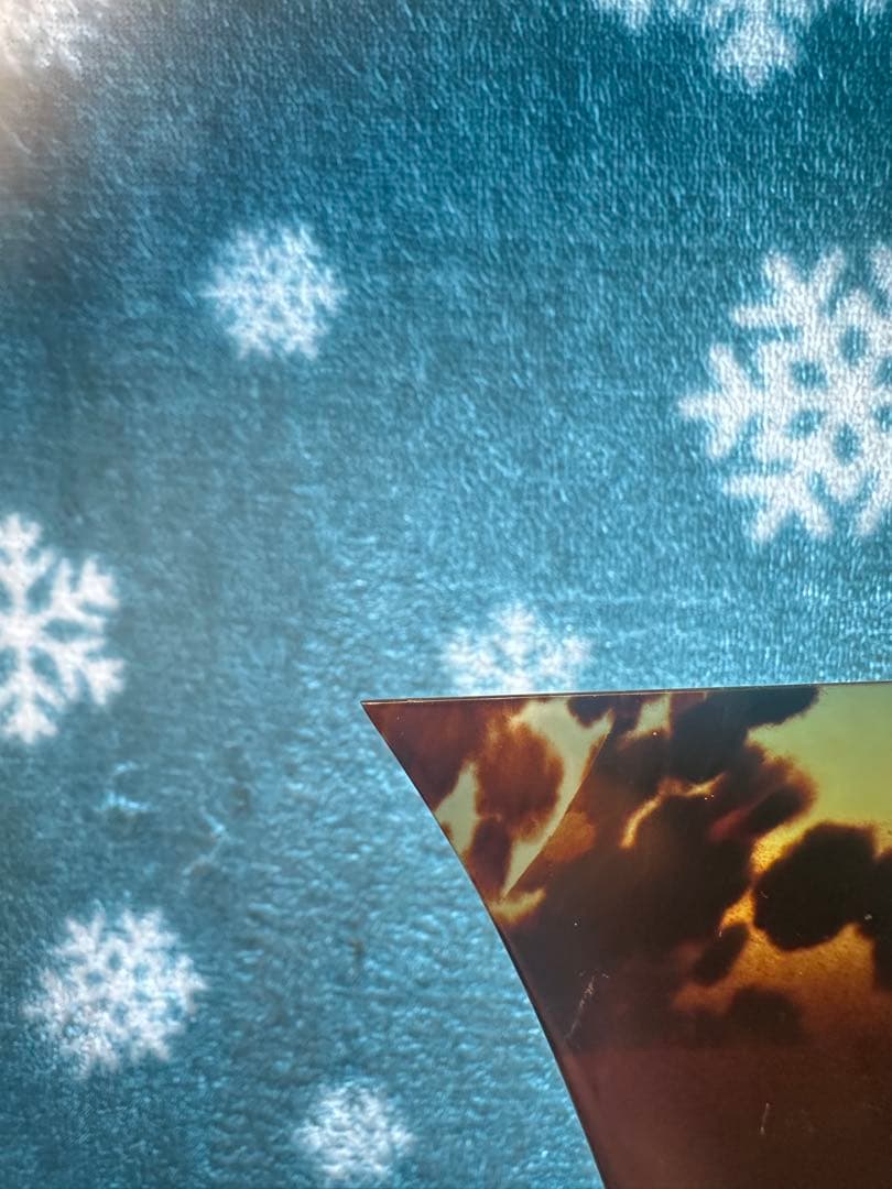 【美品】津軽三味線　鼈甲撥　二本セット 撥ケース付き