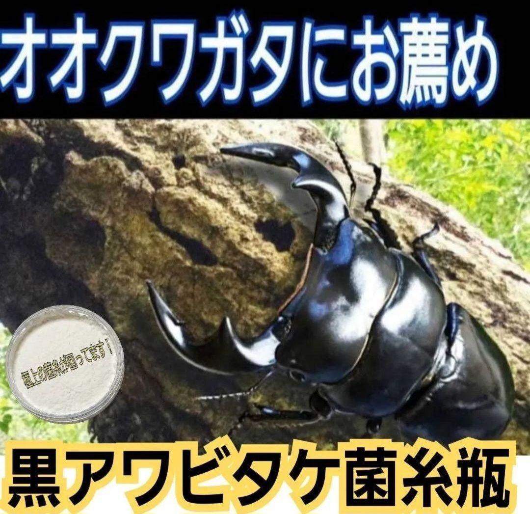 ９本セット！ニジイロクワガタに抜群！黒アワビタケ菌糸瓶　トレハロース、キトサン入