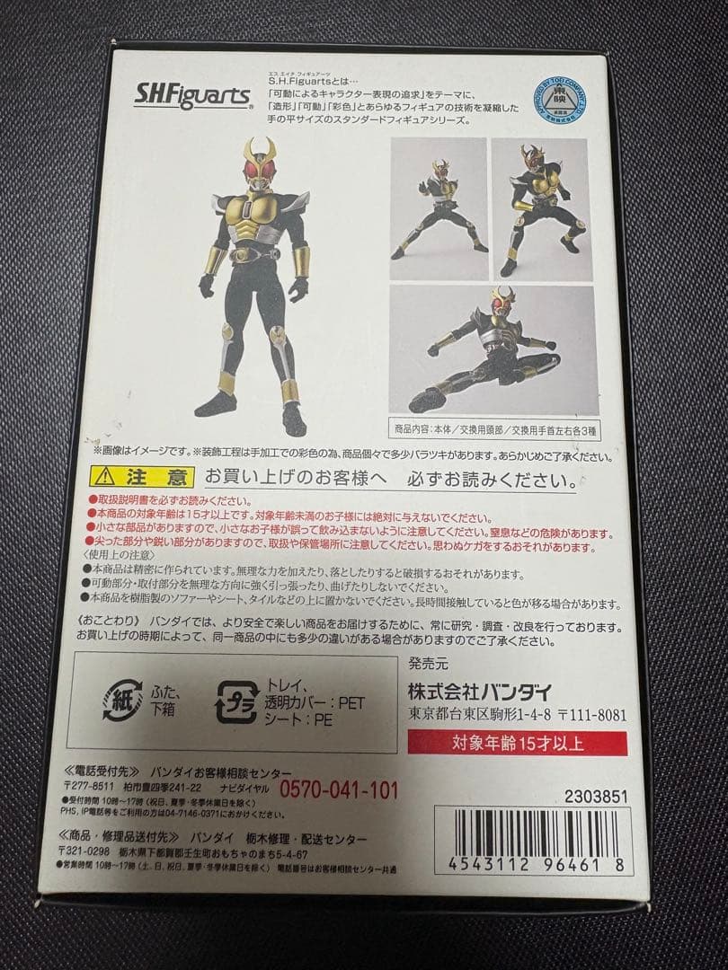 真骨彫　仮面ライダーアギト