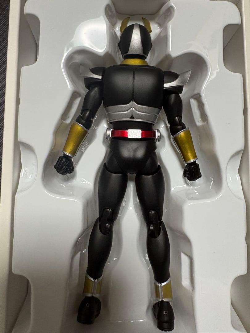 真骨彫　仮面ライダーアギト