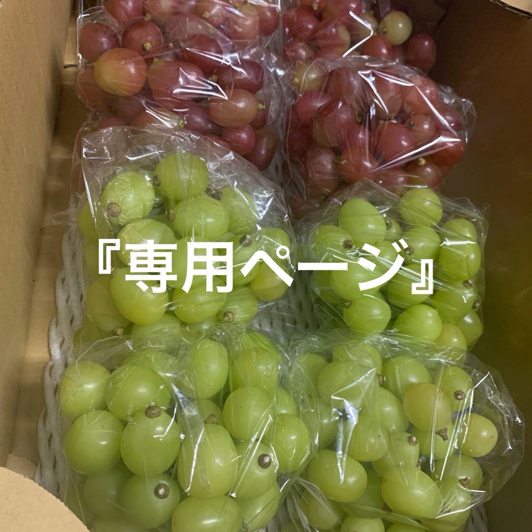 信州　黄色シャインマスカット＆クイーンルージュ®︎（粒）