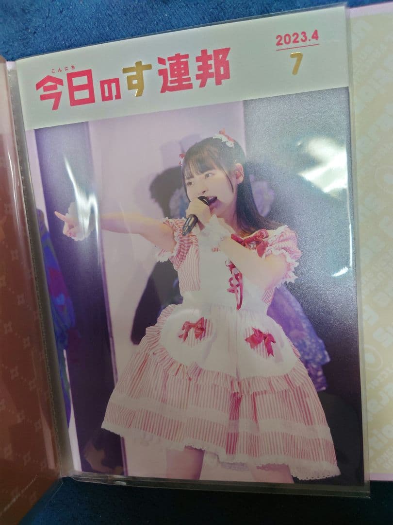 上坂すみれ ファンクラブ会報誌 全11部 専用バインダー付属