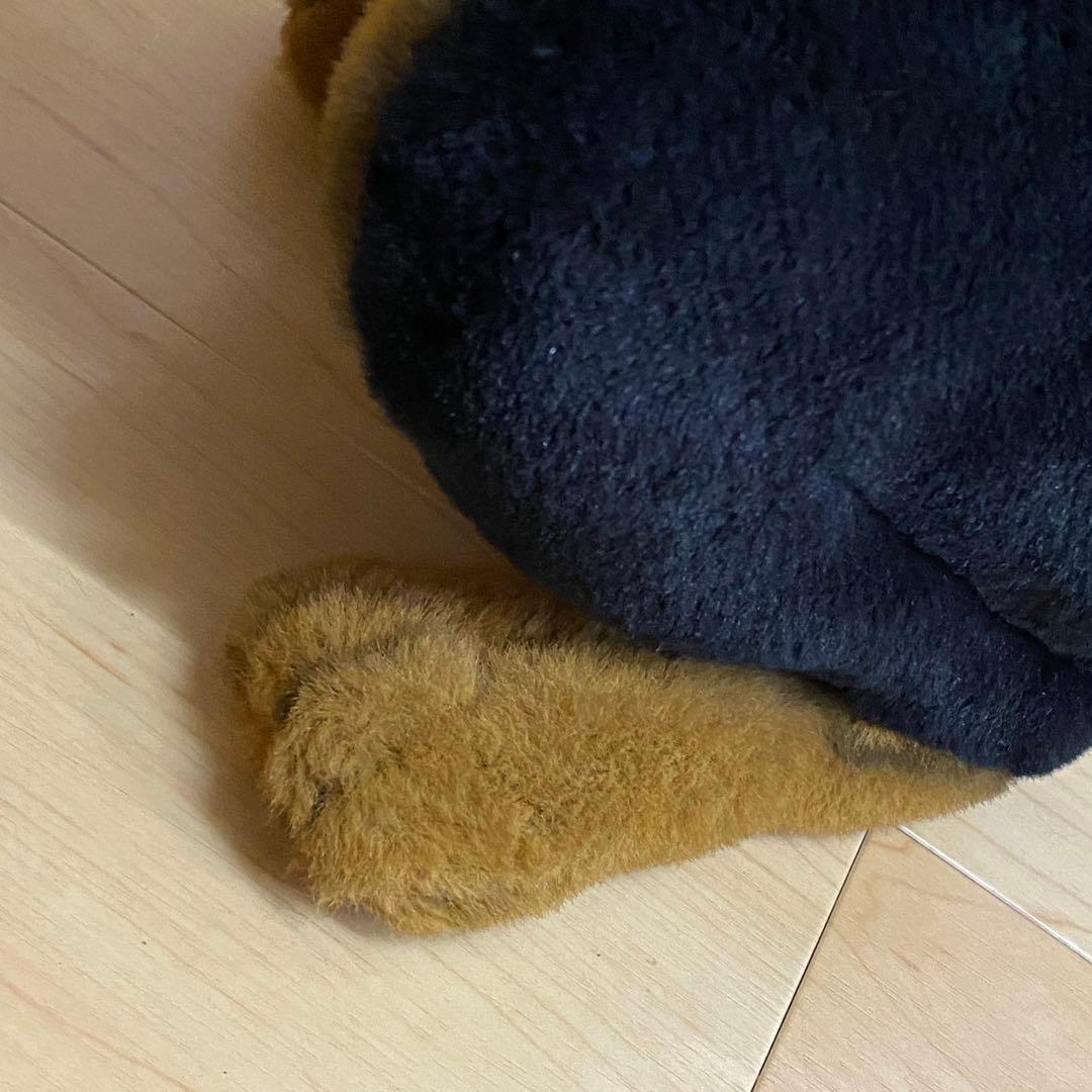 ジョックライン　イタリア製　特大 ドーベルマン　座り　ビッグサイズ　no.10