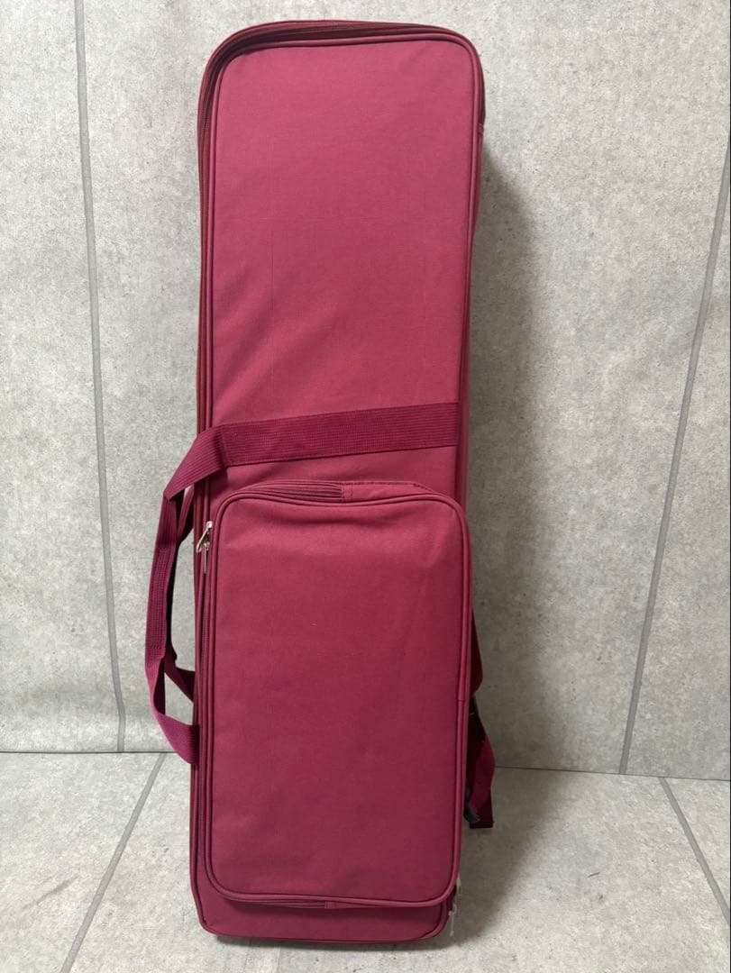 沖縄三線　弦楽器　ケース付き　おまけ付き