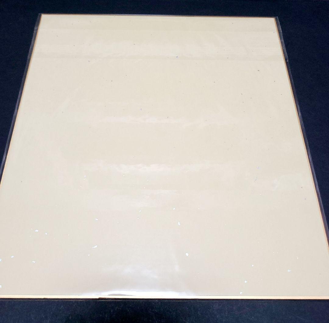 天空の城 ラピュタ シータイラスト 直筆サイン色紙