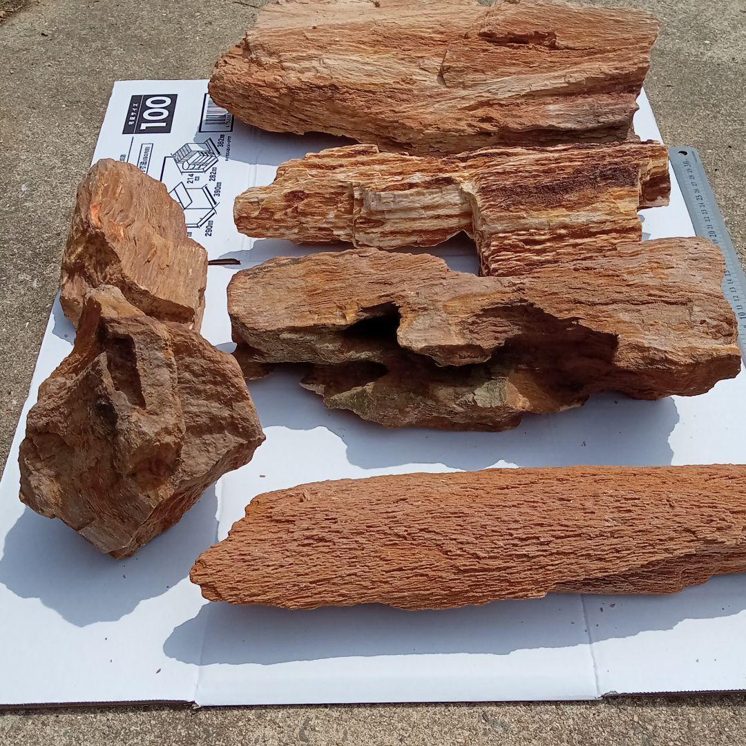 木化石01　約18ｋｇ　アクアリウム 　水槽　レイアウト　石