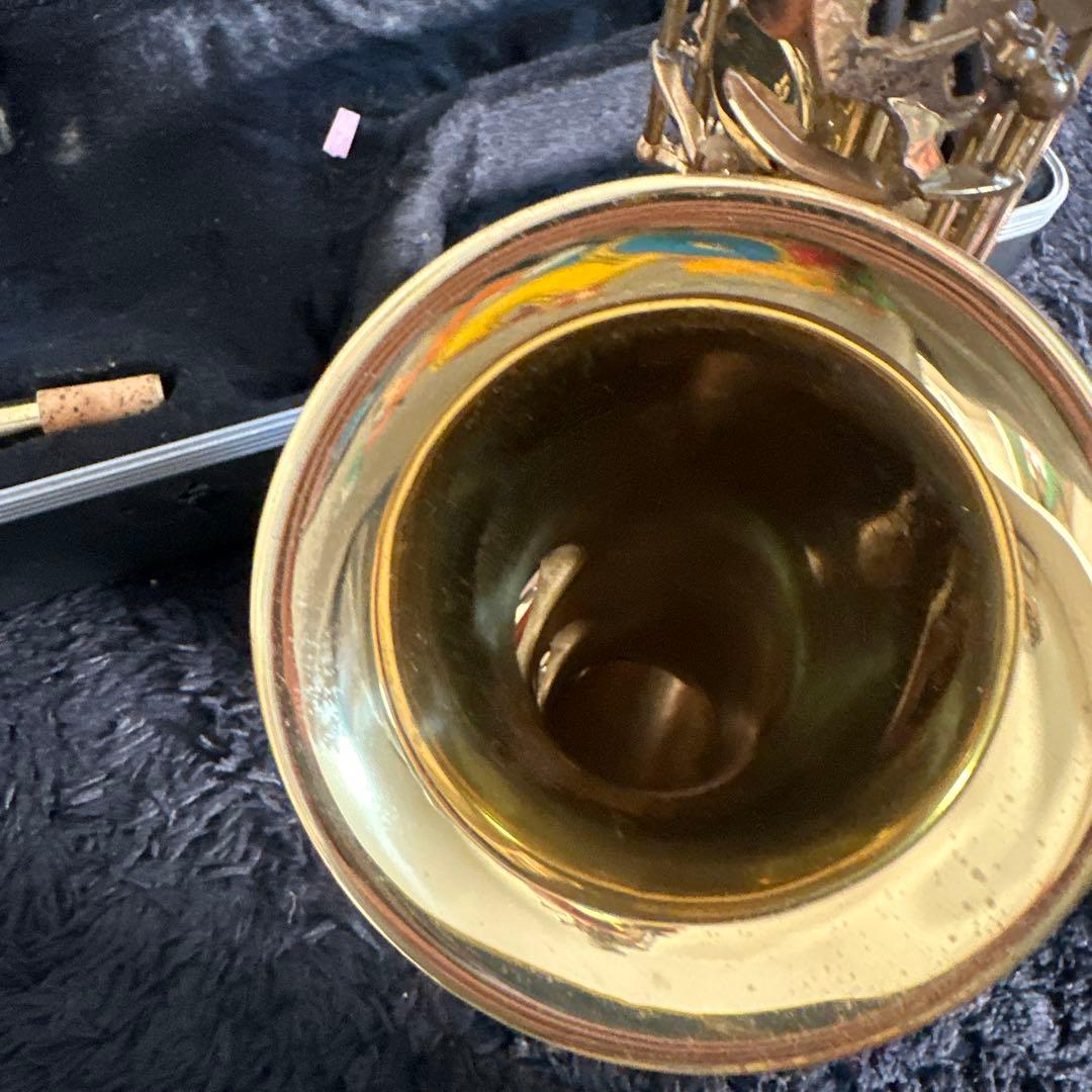 XINGHAI アルトサックス 管楽器 ケース付属 初心者向け