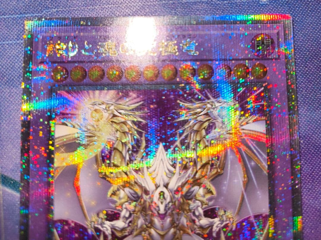 遊戯王 誇りと魂の究極竜 25thシークレット 日版