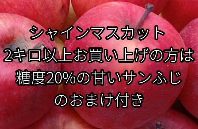 シャインマスカット5キロ☆家庭用・粒・訳あり☆食感良い☆北信州中野市産