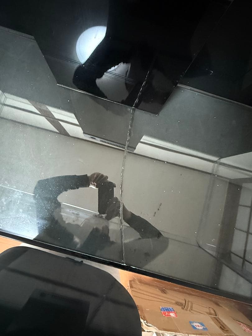 レッドシー　350 水槽