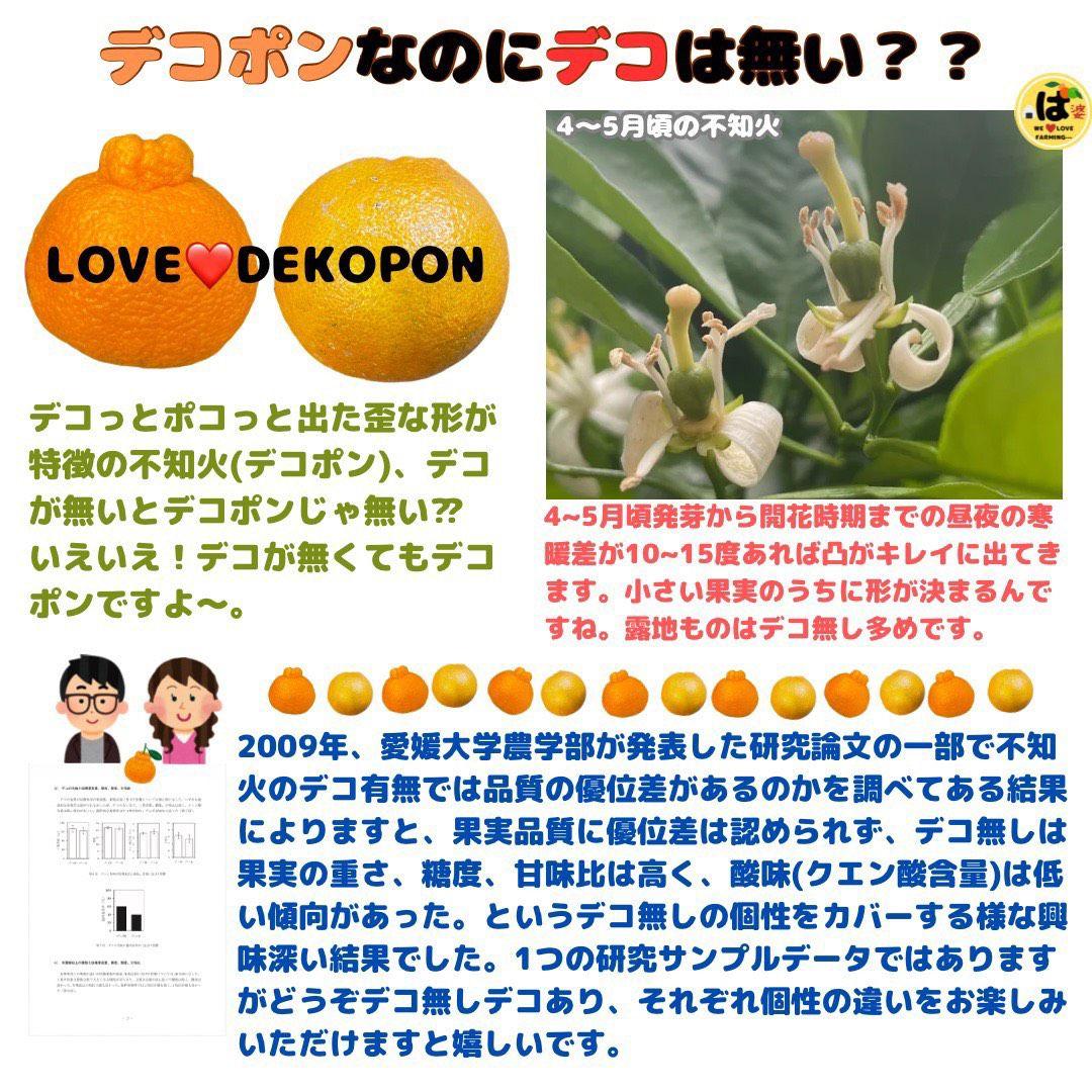 ※確認用　大玉MIX箱込み9.5kg以上【ハウス栽培　不知火　デコポン　肥の豊】