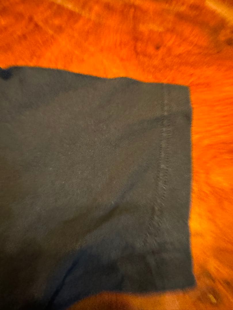 FOO FIGHTERS 2011年バンT黒サイズ表記M美品