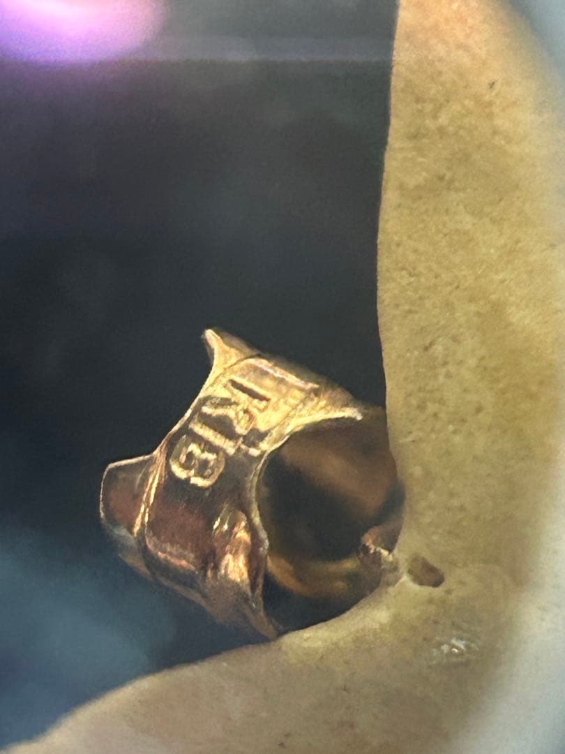 K18天然素材の歯ペンダント ゴールド装飾