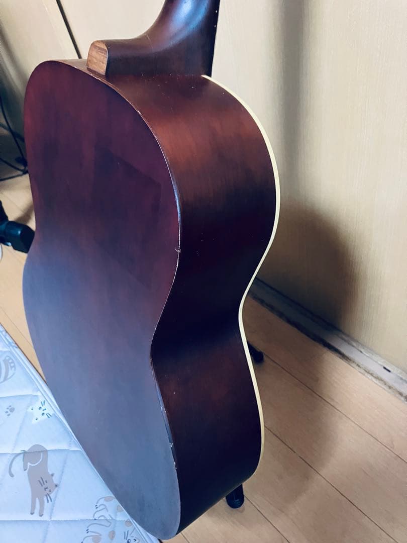 seagull S6 fork カナダ中堅モデルケース付きハンドメイドギター