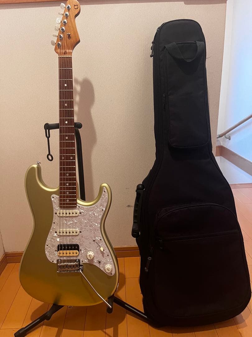 ギター BLACK CLOUD Custom Made Sigma SSH/TGM