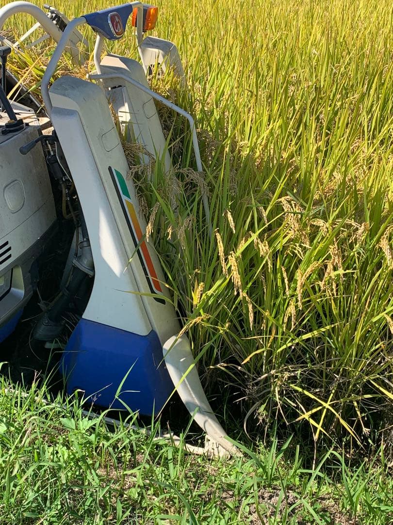 令和7年度産　ヒノヒカリ20kg(ヒノヒカリ)送料込　減農薬　農家のお米