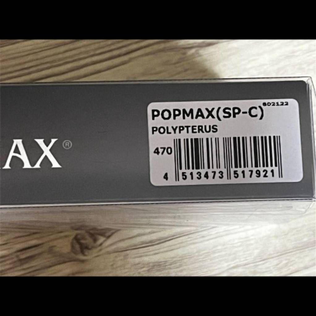 希少 POPMAX(SP−C) #POLYPTERUS ポップマックス レア
