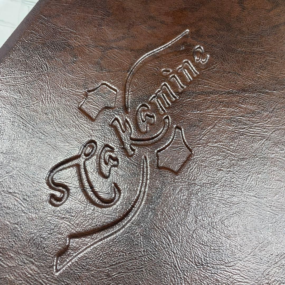 takamine PT106 タカミネ エレアコ 純正ハードケース付属