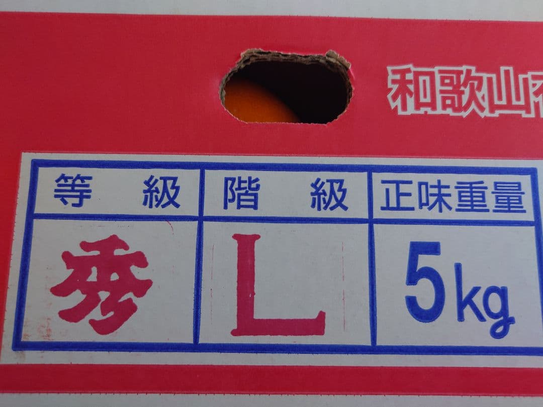 日本一のみかん　「的兵みかん」丹生系赤秀品L5キロ