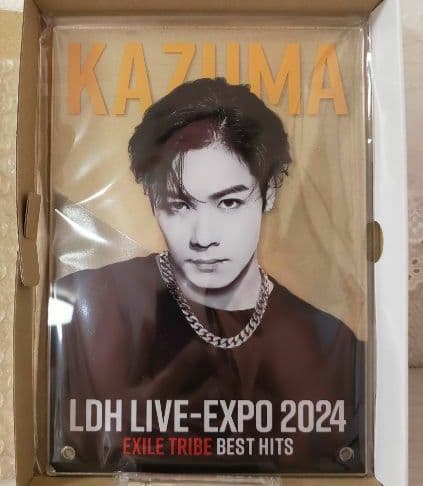 み*ゆ様 超激レア✨LDH LIVEEXPO 2024✨縁日1等 川村壱馬 アク