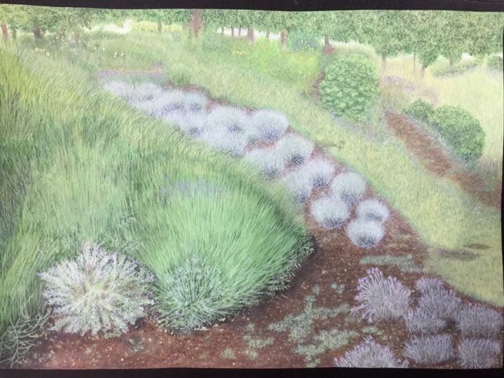 手書き イラスト   水彩   「綾瀬の夏」