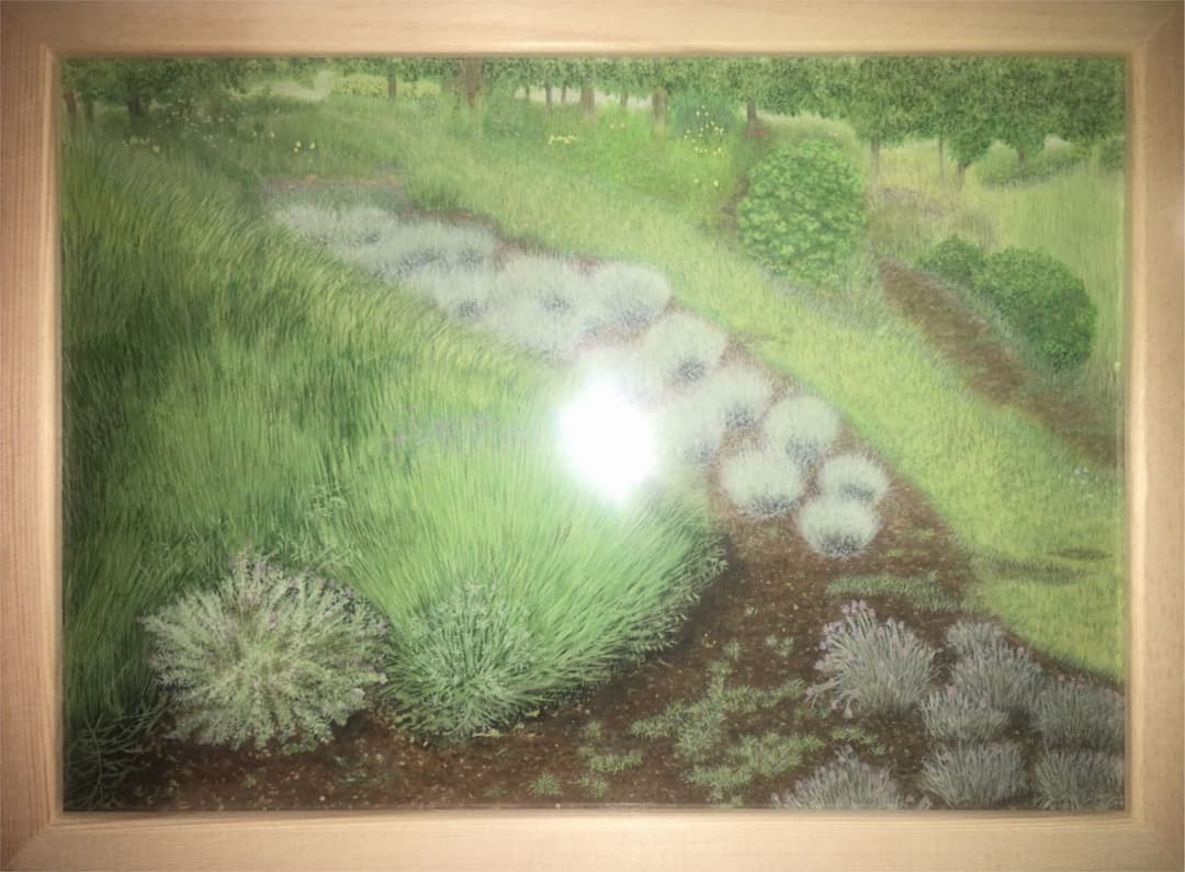 手書き イラスト   水彩   「綾瀬の夏」