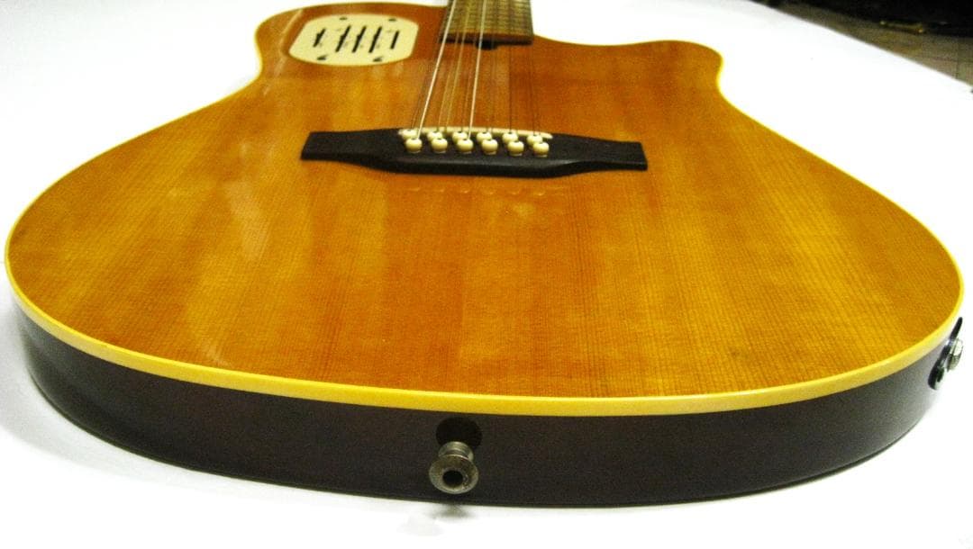 タ*ロ様 美品95年ヴィンテージオールドエレアコ ゴダンGodin12弦L.R.