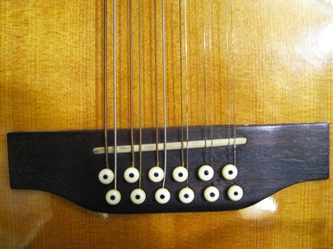 タ*ロ様 美品95年ヴィンテージオールドエレアコ ゴダンGodin12弦L.R.