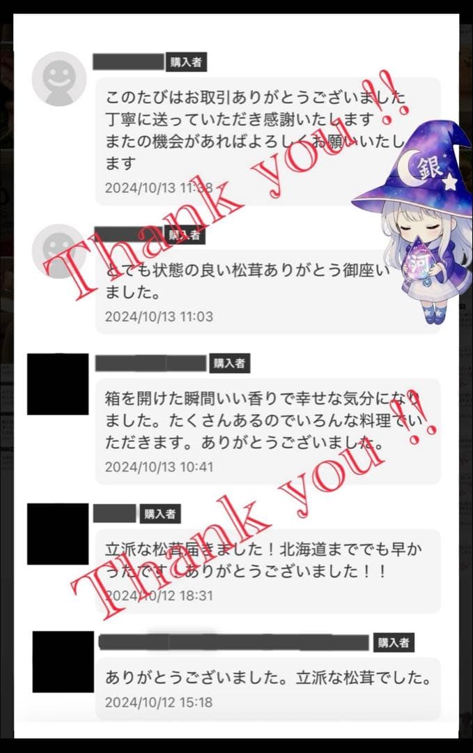 【大人気‼︎ 開き厳選 1本 今期最終‼︎】本日採れ‼︎ 松茸◆クール便発送◆